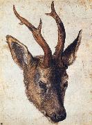 Albrecht Durer The Head of Stag France oil painting artist